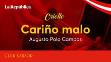 Cariño malo, canción de Augusto Polo Campos