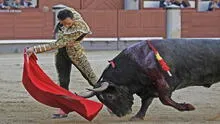 Plaza de Acho: corridas de toros vuelven a pesar de ser consideradas como maltrato animal