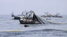Produce establece en hasta 150.000 toneladas el límite de captura de anchoveta