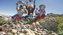 Richard Webb: “La minería ha tenido un rol complementario a la agricultura en Huancavelica”