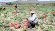 FAE-Agro: tras dos meses, se reactivan las subastas en programa de crédito