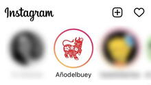 Instagram: ¿por qué te aparecen stories del año del buey sin seguirlo?
