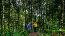 Cajamarca: aprueban Plan Maestro de ACR Bosques El Chaupe, Cunía y Chinchiquilla