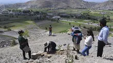 Arequipa: sembrarán 6.000 plantones en el distrito de Sachaca 