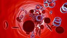 La COVID-19 produce cambios duraderos en las células de la sangre, sugiere estudio