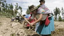 Proponen la reinserción financiera de pequeños agricultores deudores de Agrobanco