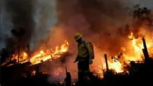 Bolivia: identifican a presuntos autores del incendio de más de 150.000 hectáreas de bosques
