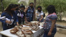 Lambayeque: Más de 500 personas visitaron el Museo Túcume tras inicio de actividades por aniversario