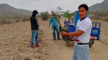 Lambayeque: reforestarán áreas dañadas por usurpadores en la reserva de Chaparrí