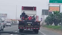 Panamericana Sur: personas arriesgan sus vidas viajando en tolva de camión
