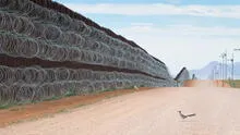 Correcaminos “bloqueado” por muro de EE. UU. y México es la mejor fotografía de aves del 2021