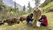 Midagri anunció instalación de plantas lecheras para potenciar a los pequeños ganaderos