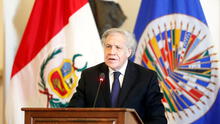 Secretario general de la OEA, Luis Almagro, realizará una visita oficial a Perú en noviembre