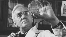 Efemérides 28 de septiembre: un día como hoy, Alexander Fleming desarrolló la penicilina