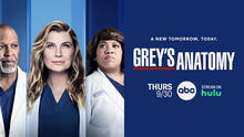 Grey’s anatomy, temporada 18: ¿cuándo se podrá ver el drama en Netflix?