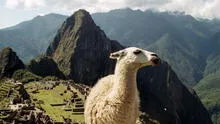 Cusco recupera 644 millones de dólares gracias al turismo solo en el tercer trimestre