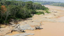 Amazonía perdió casi un millón de hectáreas