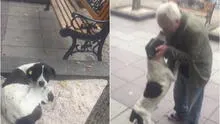 Abuelito se reencuentra en una calle con su perro desaparecido luego de tres años