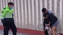 Chimbote: pitbull mató a can más pequeño en exteriores de estadio Manuel Rivera