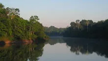 Responsabilidades del BID y la bioeconomía en la Amazonía