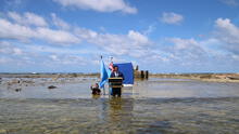“Estamos hundiéndonos”: sumergido en el mar, ministro de Tuvalu alerta del cambio climático