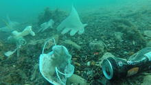 Casi 28.000 toneladas de residuos plásticos por COVID-19 enferman los océanos