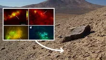 Advierten que el suelo Marte “imita a la vida” y puede engañar a los científicos