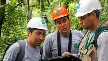 Nuevas herramientas para mejorar  la gestión en el sector forestal