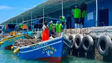 Potenciarán exportación de conchas de abanico en Piura 