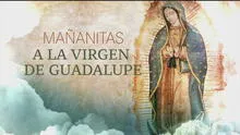 Virgen de Guadalupe: mira la misa y homenaje de hoy 12 de diciembre