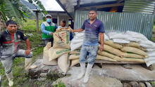 Distribuyen 2.700 sacos de fertilizantes a agricultores de Puno, Madre de Dios y Cusco