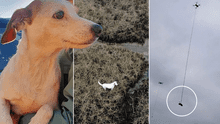 Rescatistas usan una salchicha y un dron para evitar que un perro se ahogue