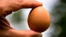 ¿Por qué razón se usa el huevo en las limpias contra las malas energías?