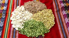 Inacal aprueba normas técnicas para cereales y leguminosas, trigo y productos derivados