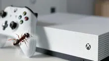 Pareja abre su Xbox One y descubre el nido de las hormigas que habían invadido su casa