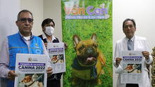 Arequipa: más de 20.000 canes serán vacunados contra la rabia este fin de semana en Cayma