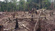 Perú perdió bosques de la Amazonía equivalentes a más de la mitad de Lima Metropolitana en 2022