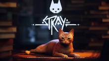 Stray, el juego que te hace vivir como un gatito sin hogar, llega en julio y así puedes tenerlo gratis