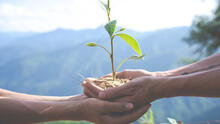 Desafíos del periodismo ambiental