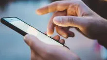 APP Bienvenido al Perú: declaración jurada de equipaje y dinero se podrá presentar por celular