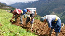 Congreso aprueba rescate financiero a pequeños agricultores con créditos vencidos en Agrobanco