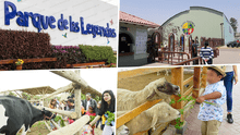 Zoológicos en Lima: ¿cuáles puedo ir a visitar por Fiestas Patrias?