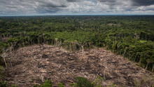 Bosques y comunidades de la Amazonía en alto riesgo por cambios a la ley forestal