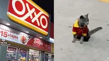 Gatito se convierte en sensación de un Oxxo tras recibir a clientes con indumentaria de trabajador