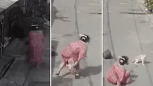 Mujer lanza agua a un gato, este cobra venganza y no la suelta hasta hacerla caer al piso