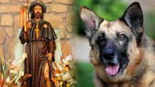 ¿Quién fue San Roque y por qué se le considera el santo de los perros?