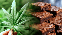 Detienen a profesora que llevó brownies con marihuana para desayunar a colegio en Argentina