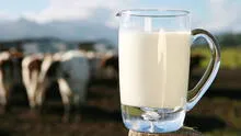 Digesa obstaculiza la entrada en vigencia del reglamento de la leche