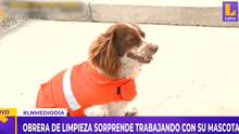 Trabajadora de limpieza adoptó a perrito callejero y ahora, mascota la acompaña en sus labores
