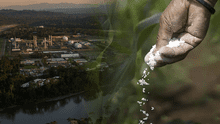 Una planta de urea en el Perú: ¿qué se necesita para producir este fertilizante en el país?